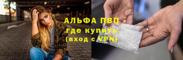 крисы Верхний Тагил
