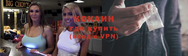 крисы Верхний Тагил