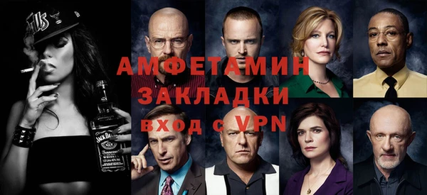 крисы Верхний Тагил