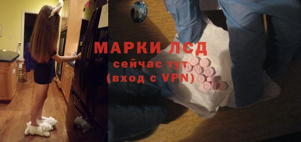 крисы Верхний Тагил