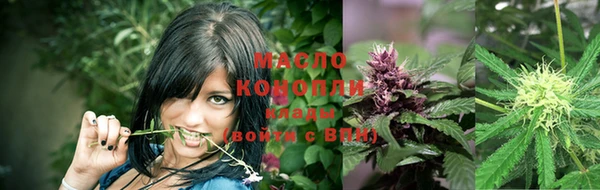 крисы Верхний Тагил