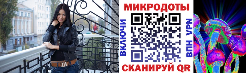 Купить  Электроугли  Псилоцибиновые грибы Psilocybine cubensis 